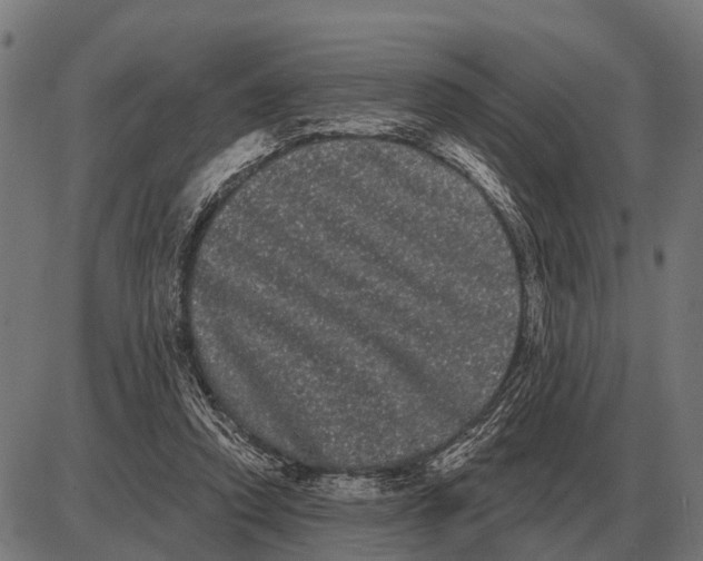 X0000085040354200703261318