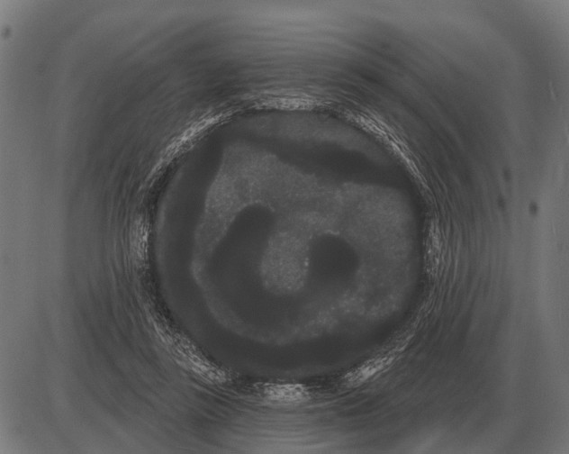 X0000085040355200703261318