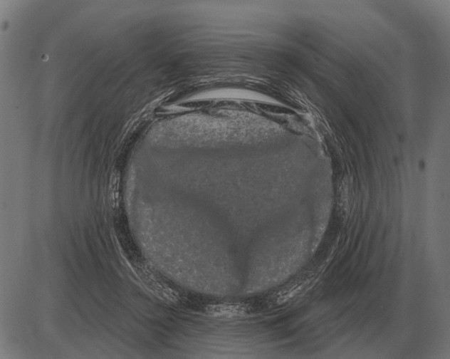 X0000085040356200703261318