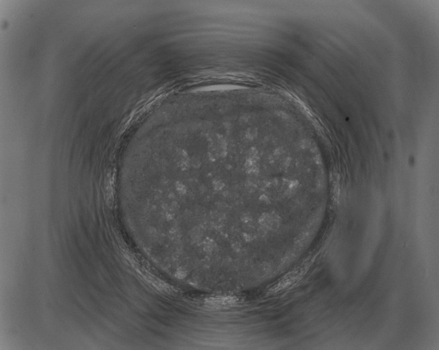 X0000085040357200703261318