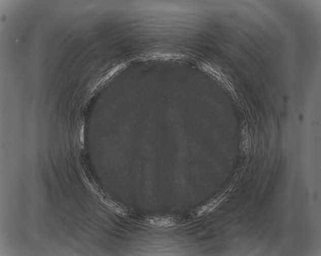 X0000085040358200703261318