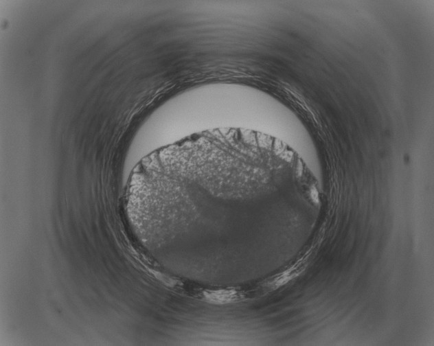 X0000085040362200703261318