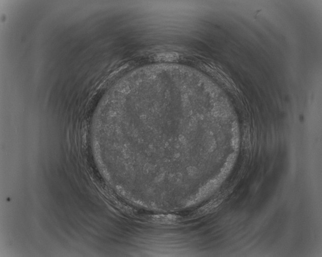 X0000085040363200703261318