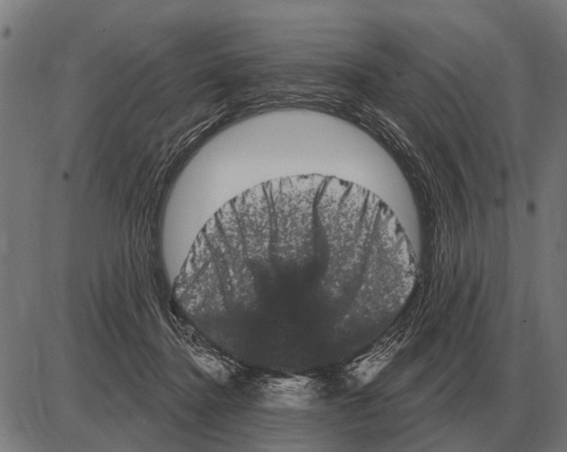 X0000085040364200703261318