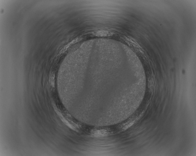 X0000085040368200703261318