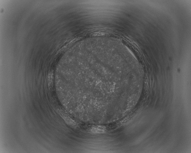 X0000085040369200703261318