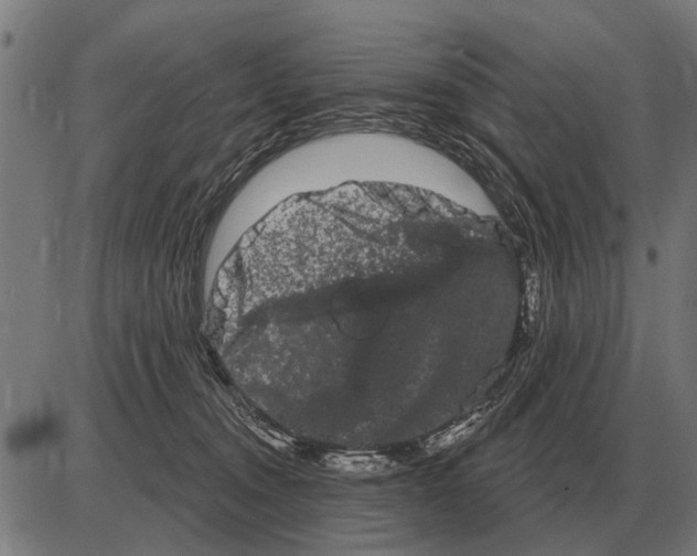 X0000085040372200703261318