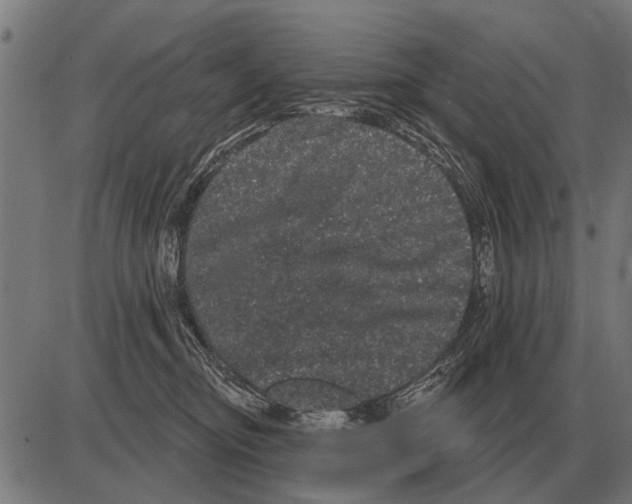 X0000085040374200703261318