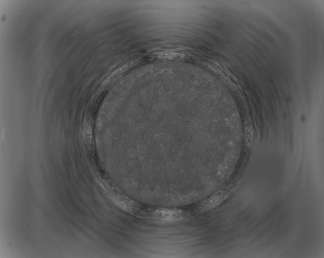 X0000085040375200703261318