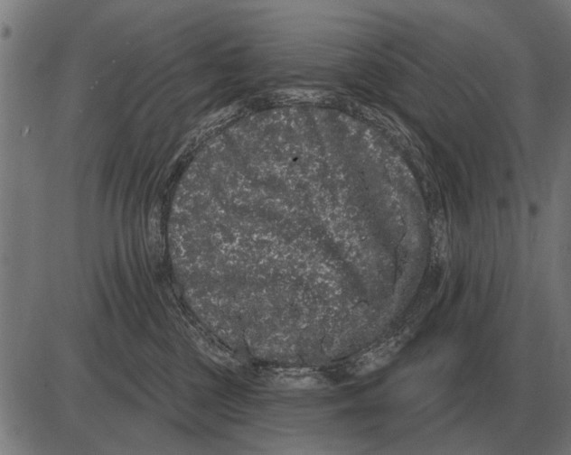 X0000085040377200703261318