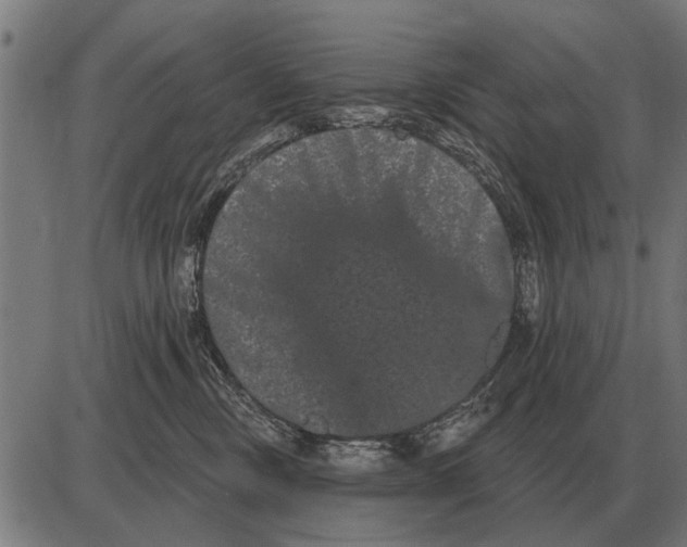 X0000085040378200703261318