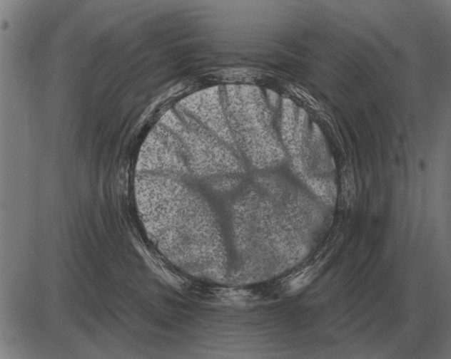 X0000085040379200703261318