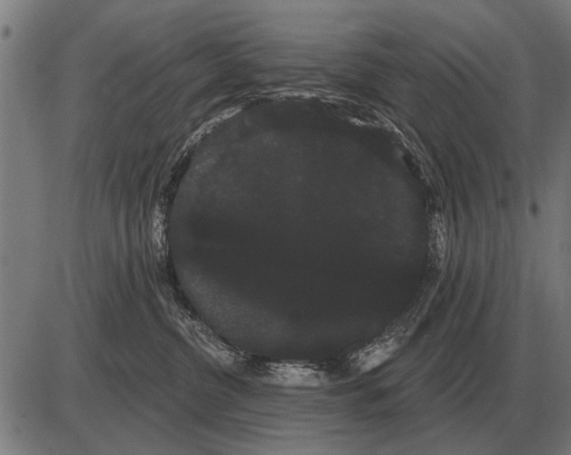 X0000085040380200703261318