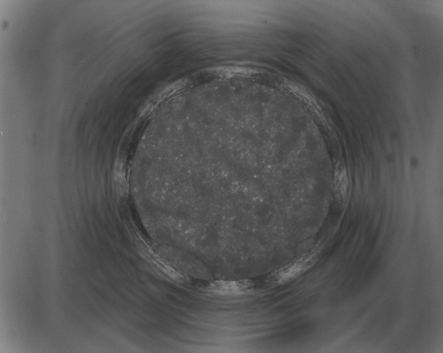 X0000085040381200703261318