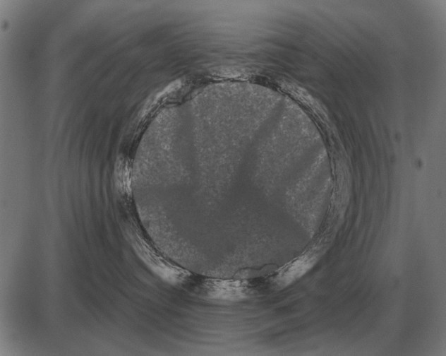 X0000085040384200703261318