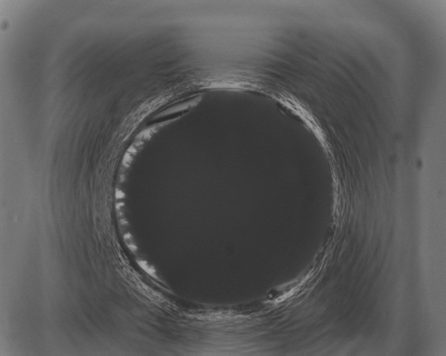 X0000085040385200703261317