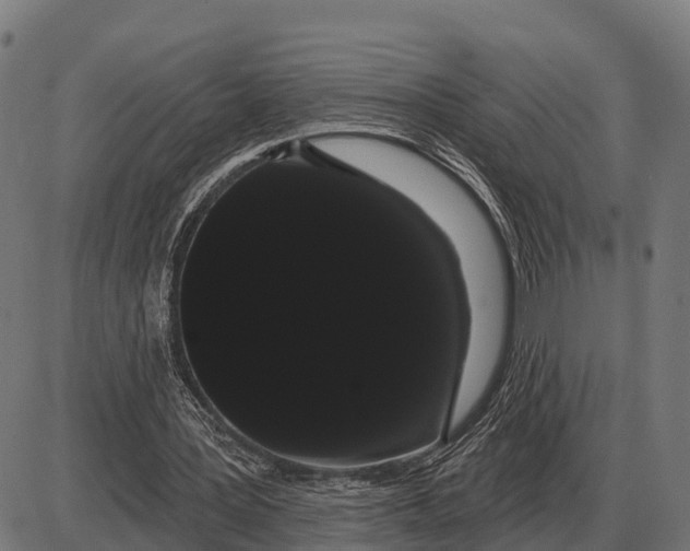 X0000085040387200703261317