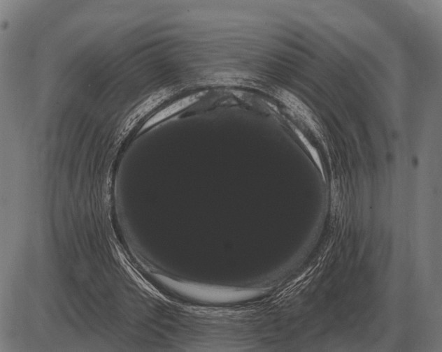 X0000085040389200703261317