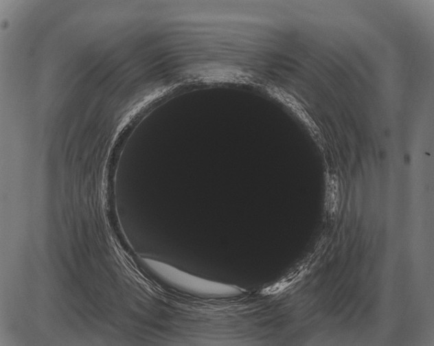 X0000085040391200703261317