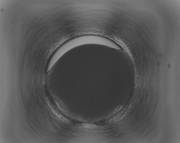 X0000085040393200703261317