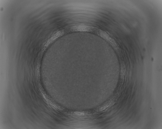 X0000085040394200703261317