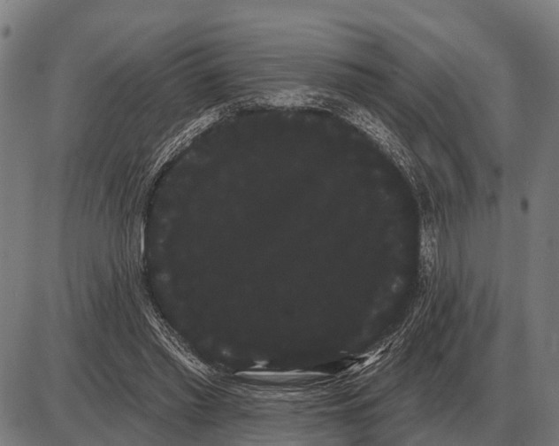X0000085040397200703261317