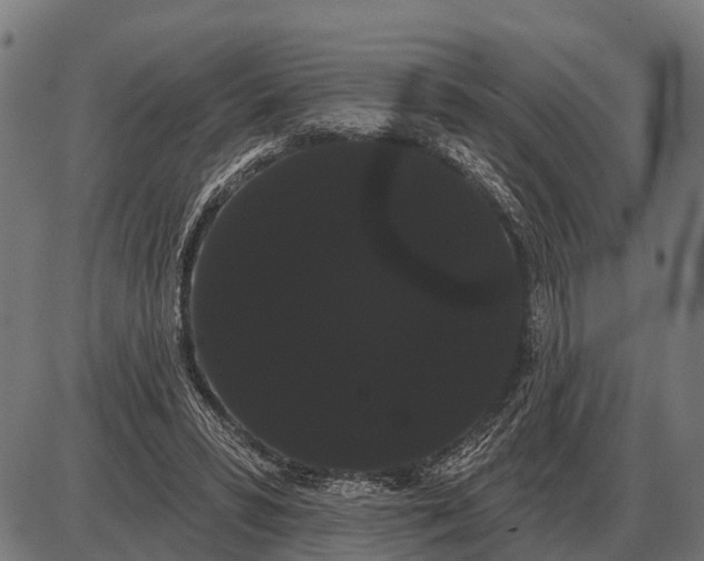 X0000085040399200703261317