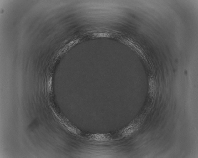 X0000085040406200703261317