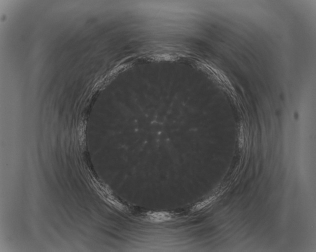 X0000085040409200703261317