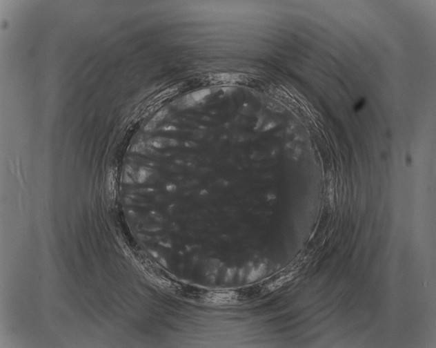 X0000085040410200703261317