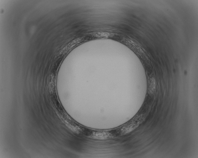 X0000085040414200703261317