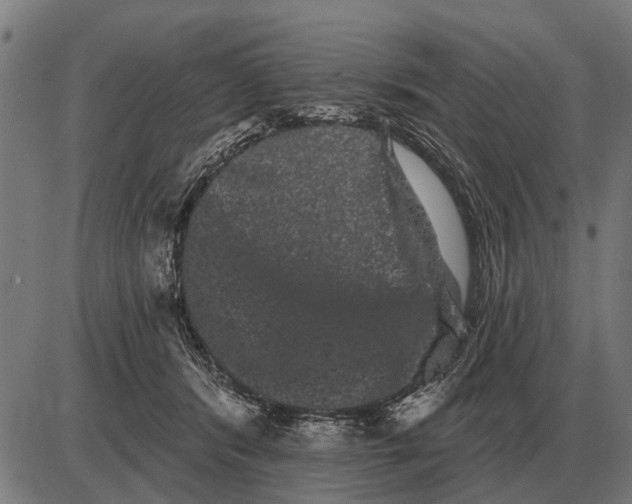 X0000085040416200703261317
