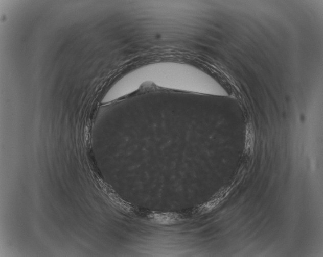 X0000085040417200703261317
