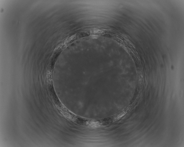 X0000085040419200703261317