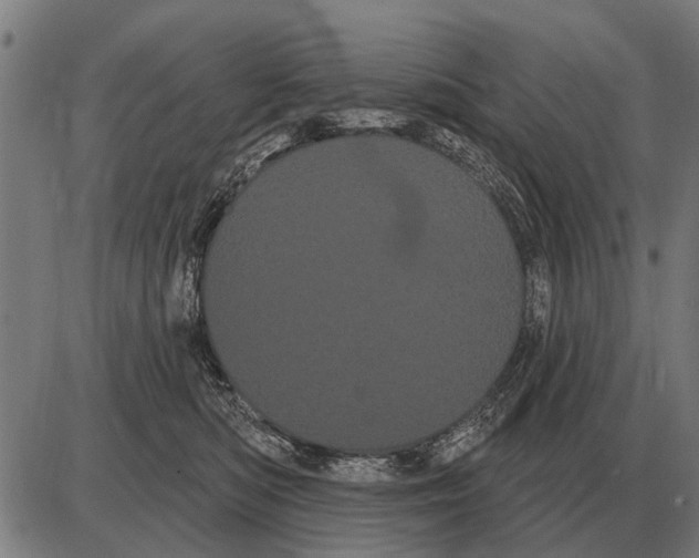 X0000085040422200703261317