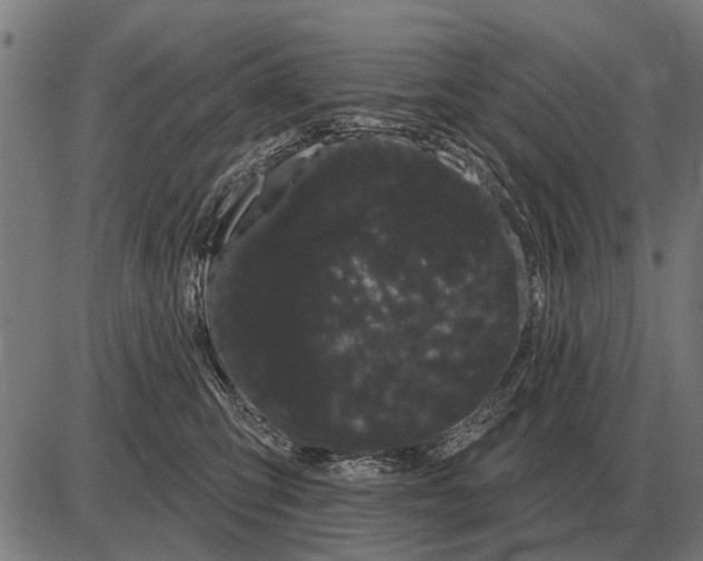X0000085040423200703261317