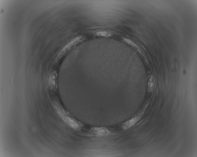 X0000085040424200703261317