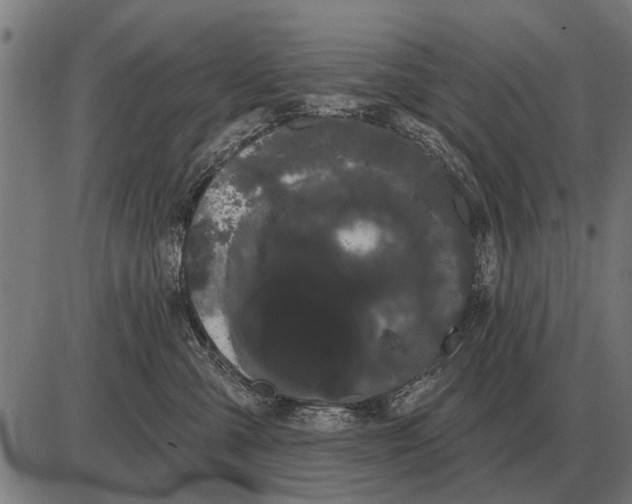 X0000085040427200703261317