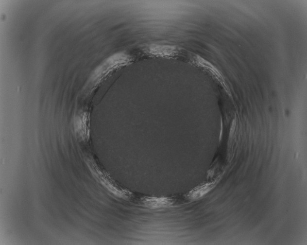 X0000085040428200703261317