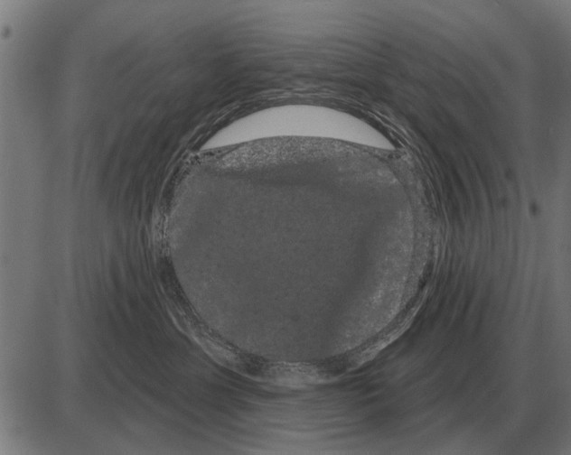 X0000085040429200703261317