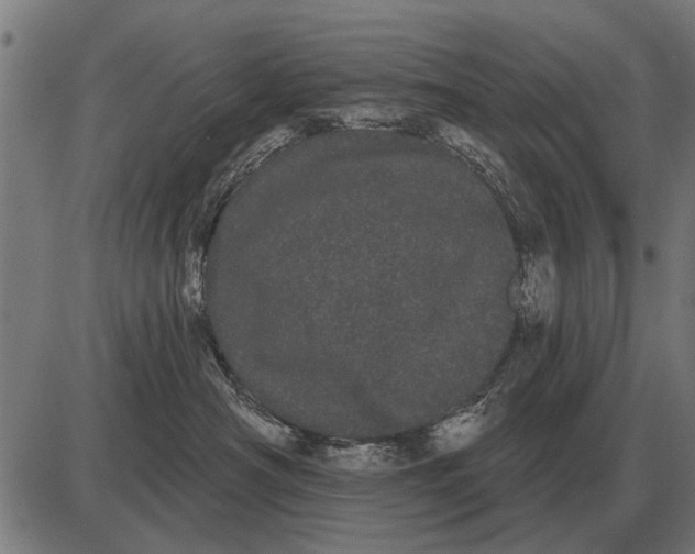 X0000085040430200703261317