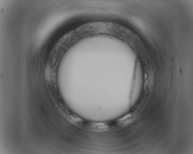 X0000085040431200703261317
