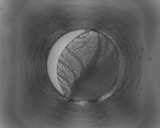 X0000085040432200703261317