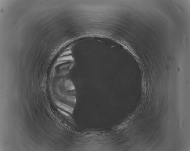 X0000085040434200703261316