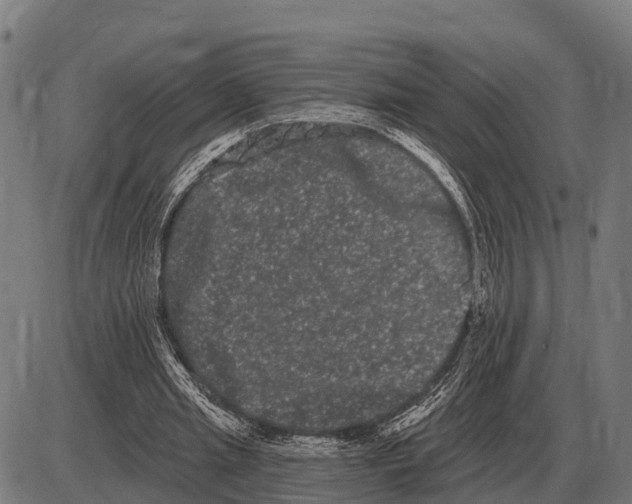 X0000085040437200703261316