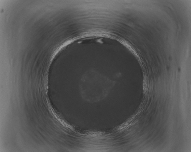 X0000085040438200703261316