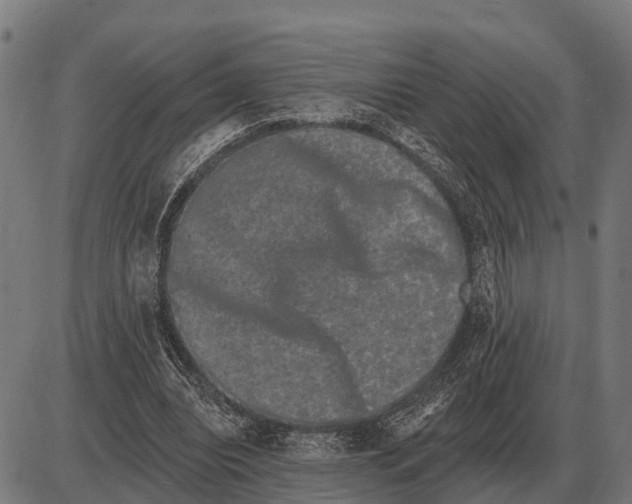 X0000085040440200703261316