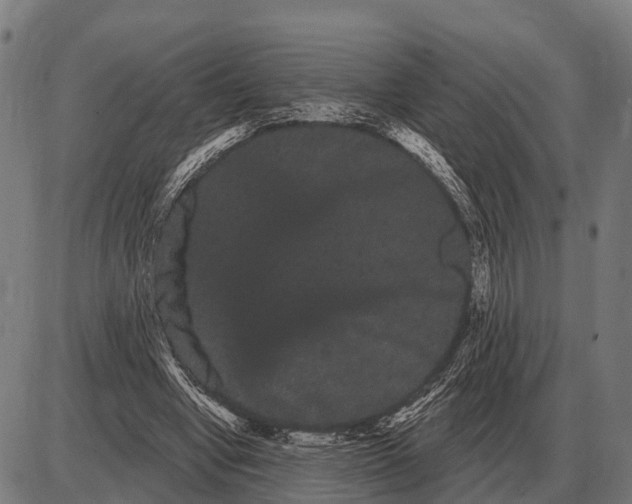 X0000085040442200703261316