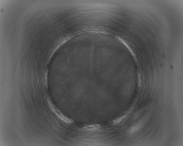 X0000085040447200703261316