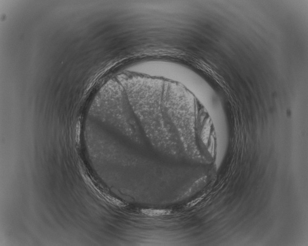 X0000085040448200703261316